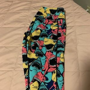 CVG shark attack capris